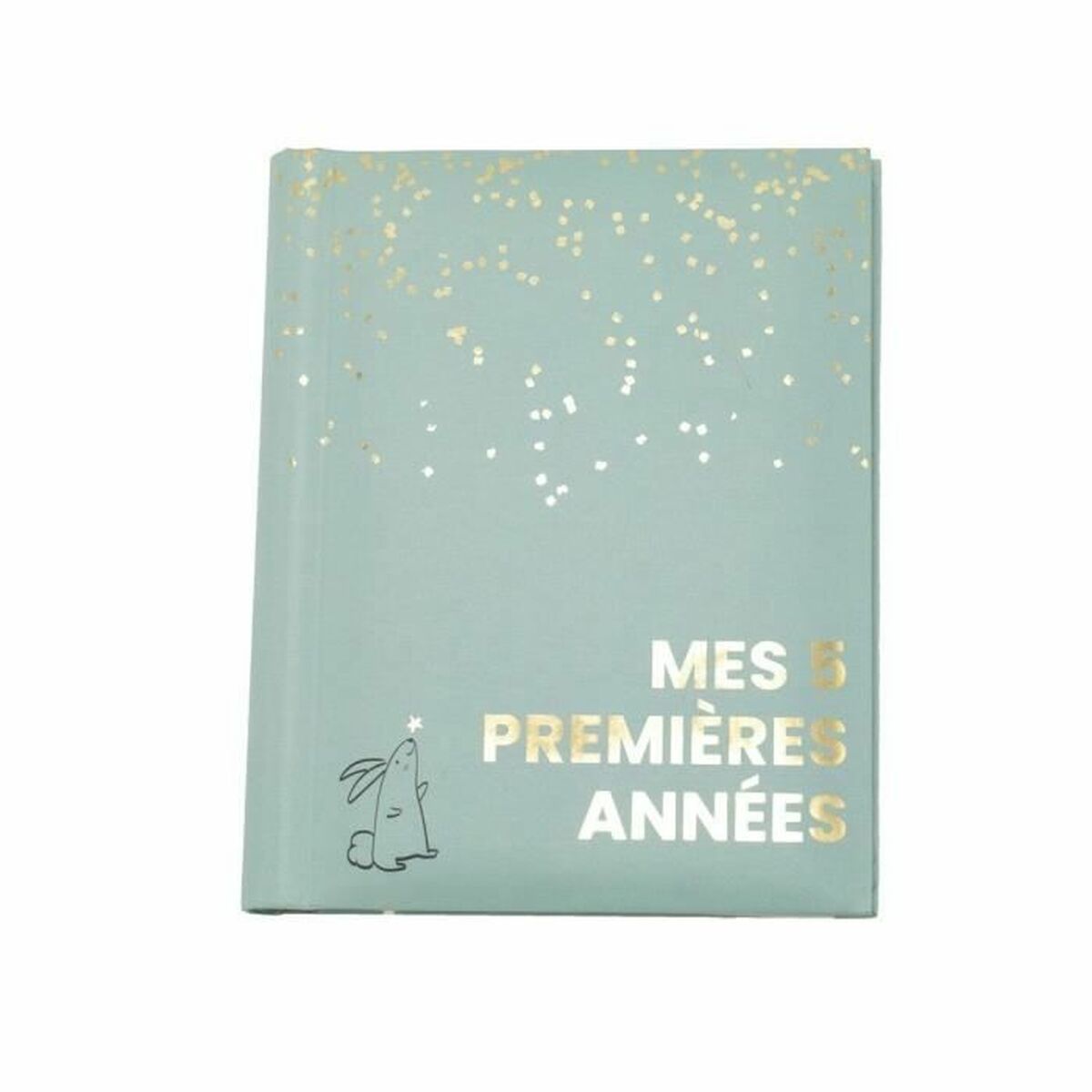 Álbum Domiva Mes 5 premieres annees
