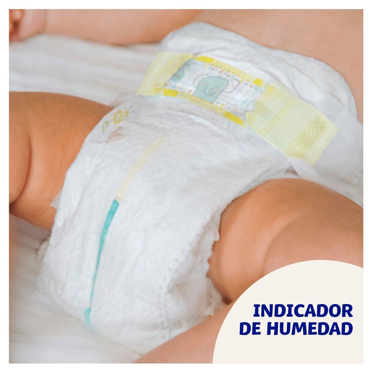 Protector Solar Facial Dodot DODOT SENSITIVE (58 Unidades) (4)